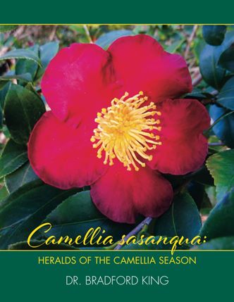 2024 Camellia Nomenclature